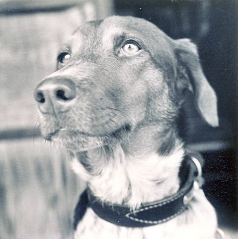 PET01_BE