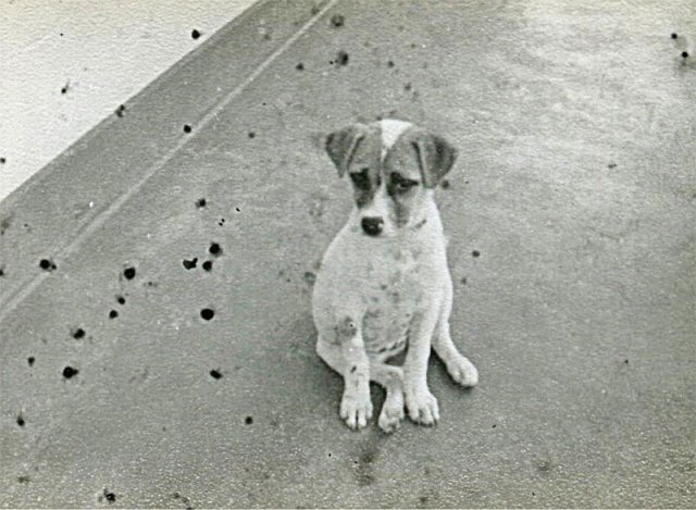 PET10_CS