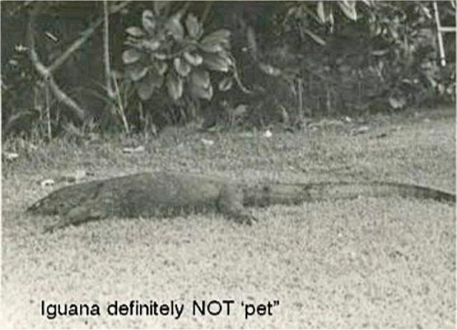 PET14_SL