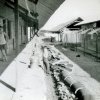 SEM39_CS